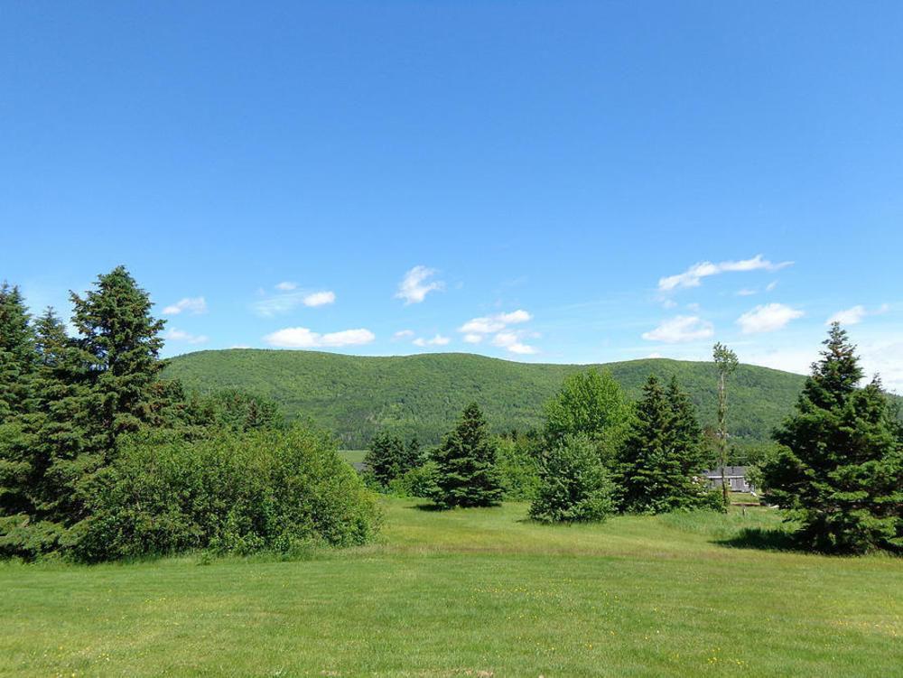 Cajun Cedar Log Cottages Margaree Forks Εξωτερικό φωτογραφία
