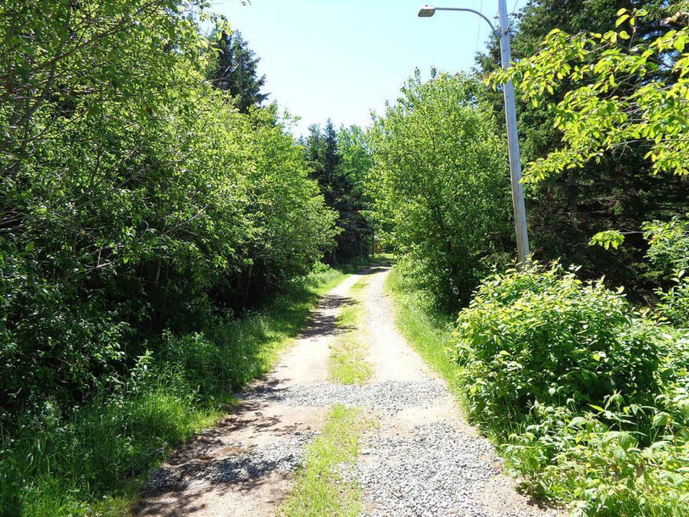 Cajun Cedar Log Cottages Margaree Forks Εξωτερικό φωτογραφία